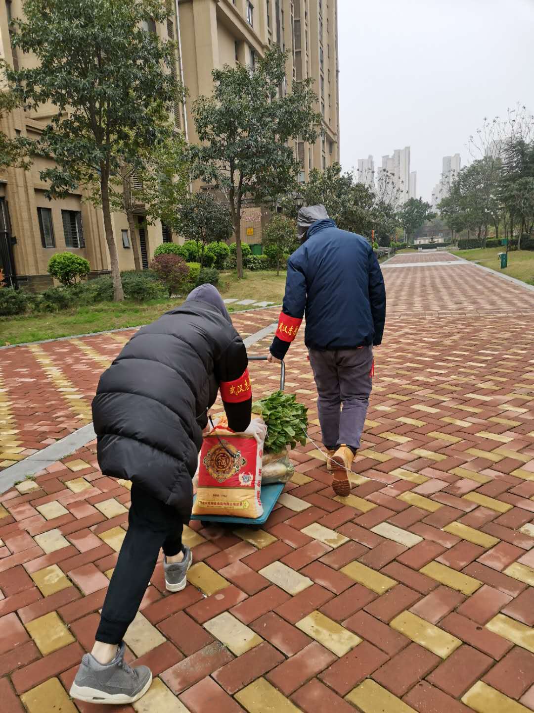 微信圖片_20200314202951.jpg 微信圖片_20200314202951.jpg